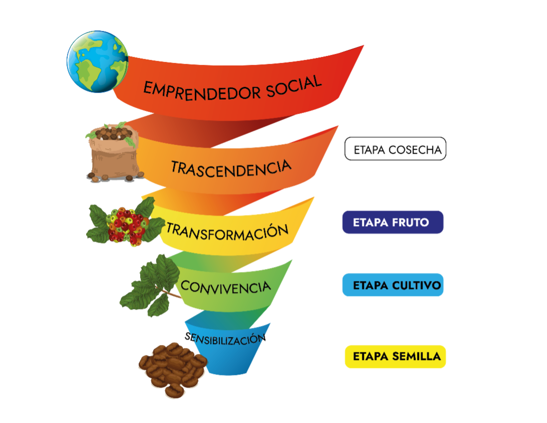Etapas del proyecto Ángeles Custodios: semilla, cultivo, fruto, cosecha y emprendedor social